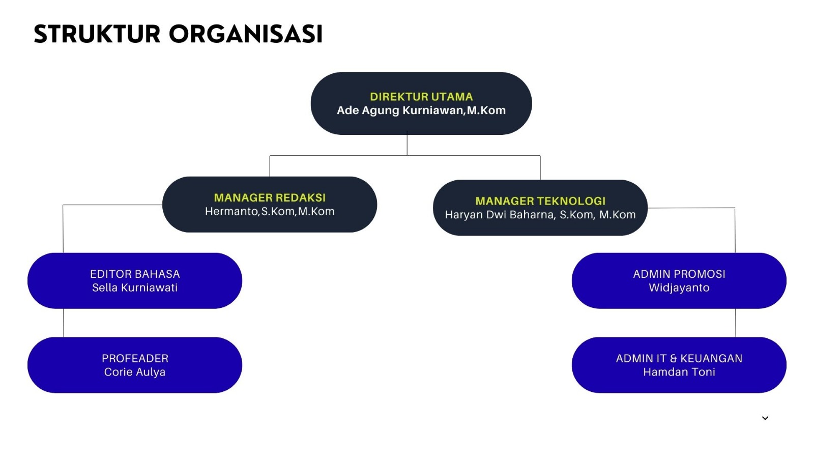 Struktur Organisasi PT Uwais Pustaka Indonesia